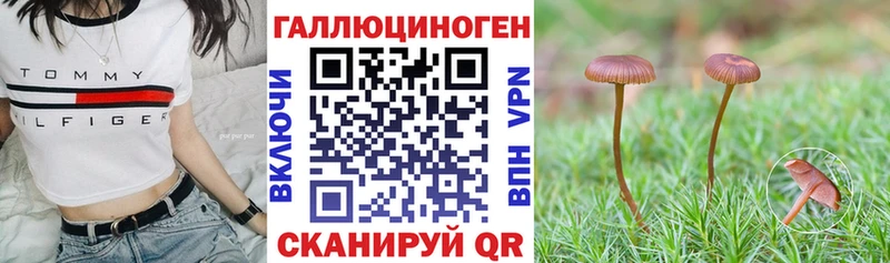 Псилоцибиновые грибы ЛСД Игарка